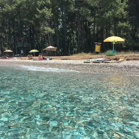 Royalton Hotel Guzelcamlı